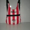 Mochilas del Athletic